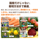 ���������ڥ��塼��������٥��åȡʣ���/����/�����ѥå��ˡ����ॸ�塼���ۡڤˤ󤸤󥸥塼���ۡ�����̵����