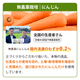 ���������ڥ��塼��������٥��åȡʣ���/����/�����ѥå��ˡ����ॸ�塼���ۡڤˤ󤸤󥸥塼���ۡ�����̵����