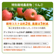 ���������ڥ��塼��������٥��åȡʣ���/����/�����ѥå��ˡ����ॸ�塼���ۡڤˤ󤸤󥸥塼���ۡ�����̵����