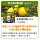 ���������ڥ��塼��������٥��åȡʣ���/����/�����ѥå��ˡ����ॸ�塼���ۡڤˤ󤸤󥸥塼���ۡ�����̵����