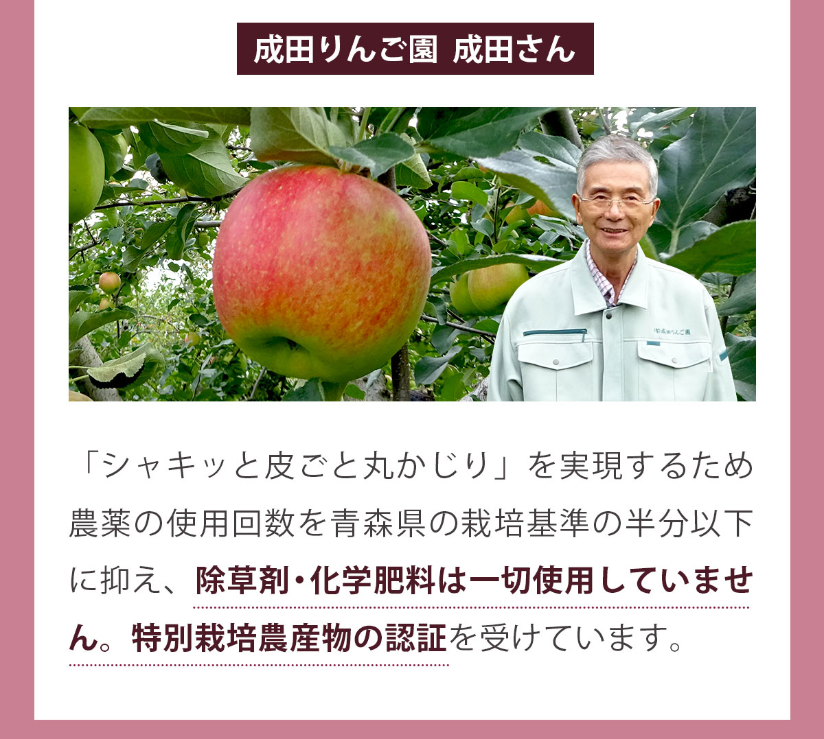 ���åץ�ӡ��ĥ��塼�� ����4Ȣ��1Ȣ��100c��30p�ۡ�����̵���ۡ����ॸ�塼���ۡڸ������ۡڥ����ѡ��ա��ɡ�