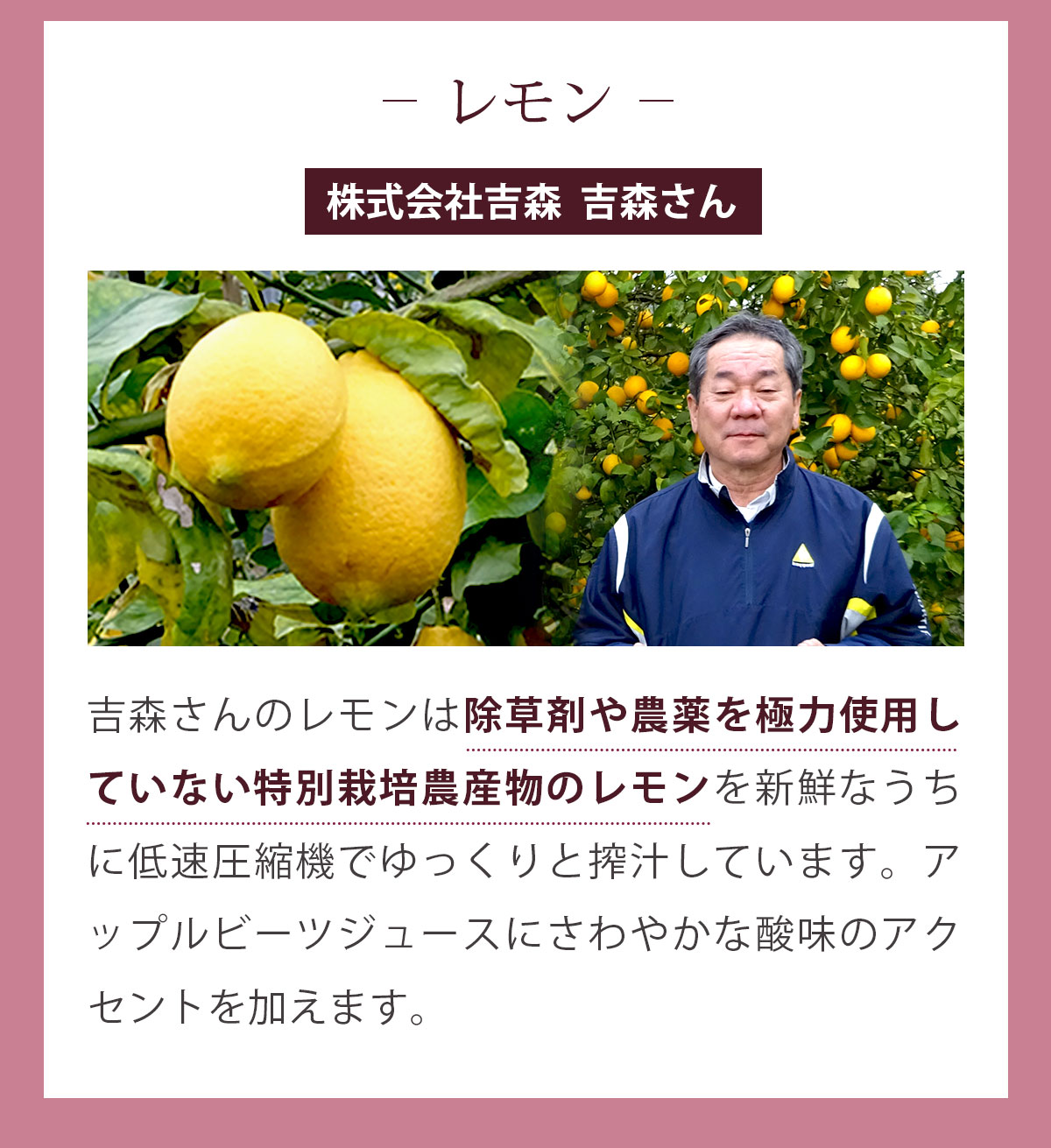 ���åץ�ӡ��ĥ��塼�� ����4Ȣ��1Ȣ��100c��30p�ۡ�����̵���ۡ����ॸ�塼���ۡڸ������ۡڥ����ѡ��ա��ɡ�