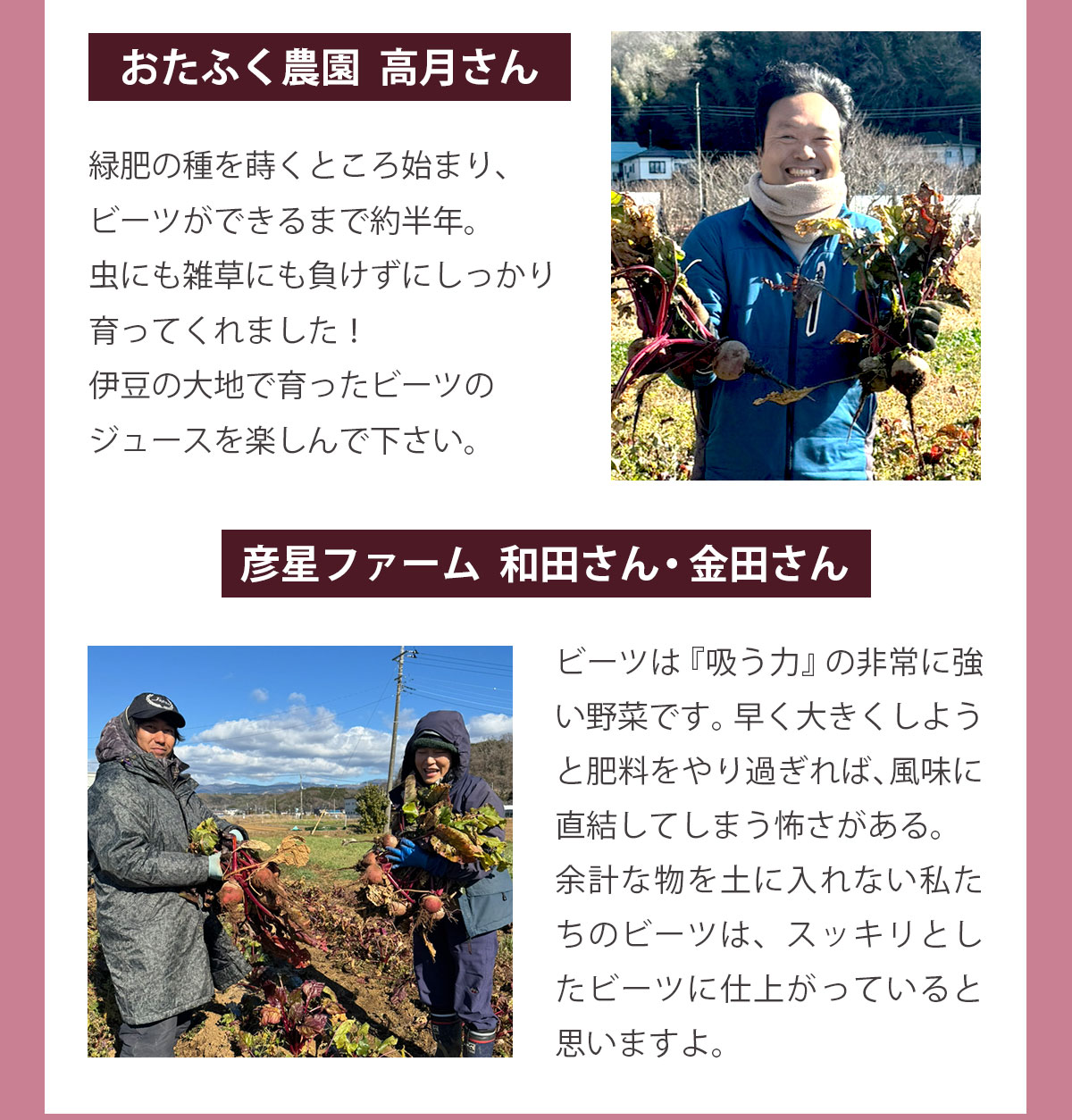 ���åץ�ӡ��ĥ��塼�� ��100c��15p�ۡ�����̵���ۡ����ॸ�塼���ۡڸ������ۡڥ����ѡ��ա��ɡۡڤ�󤴡�