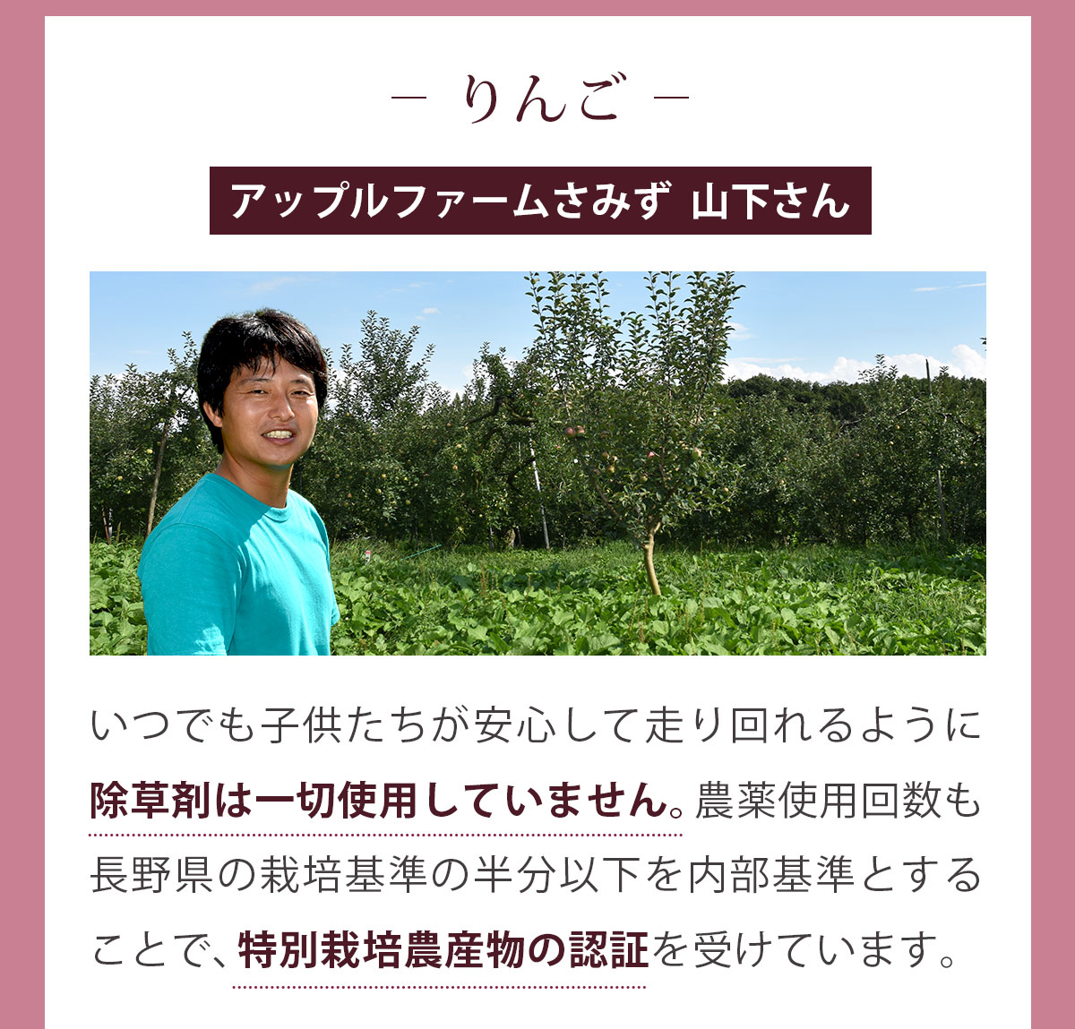 ���åץ�ӡ��ĥ��塼�� ��100c��15p�ۡ�����̵���ۡ����ॸ�塼���ۡڸ������ۡڥ����ѡ��ա��ɡۡڤ�󤴡�