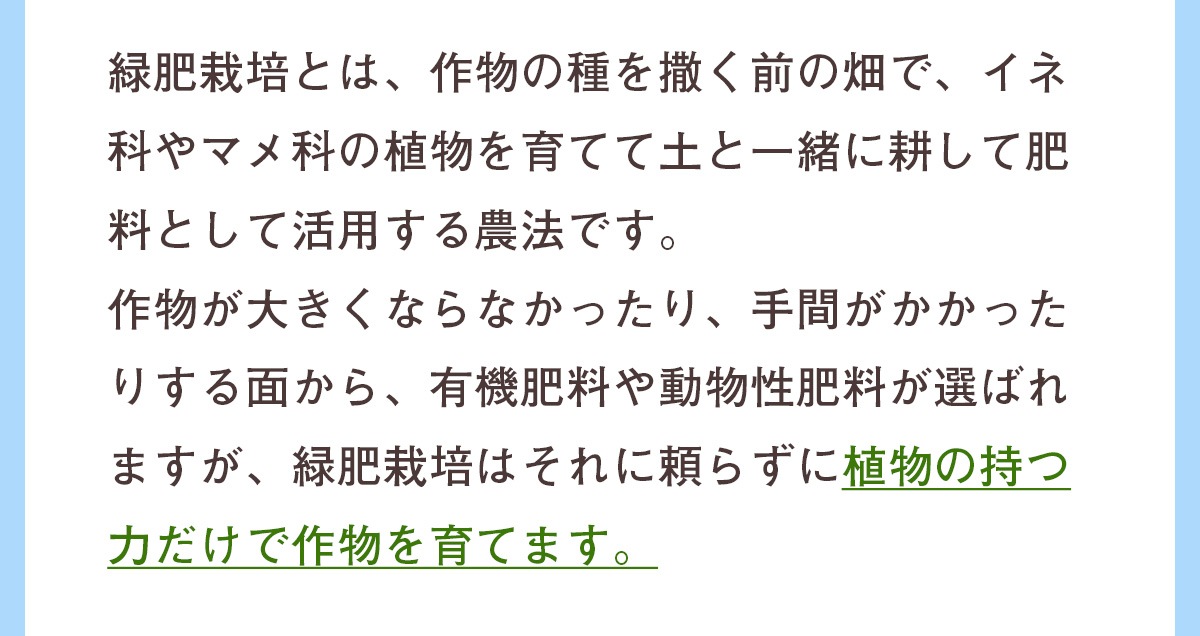 ���� �Ȥ��٤Ĥʿ�����ʤ��ͻ����塼����100ml��15�ѥå���1Ȣ