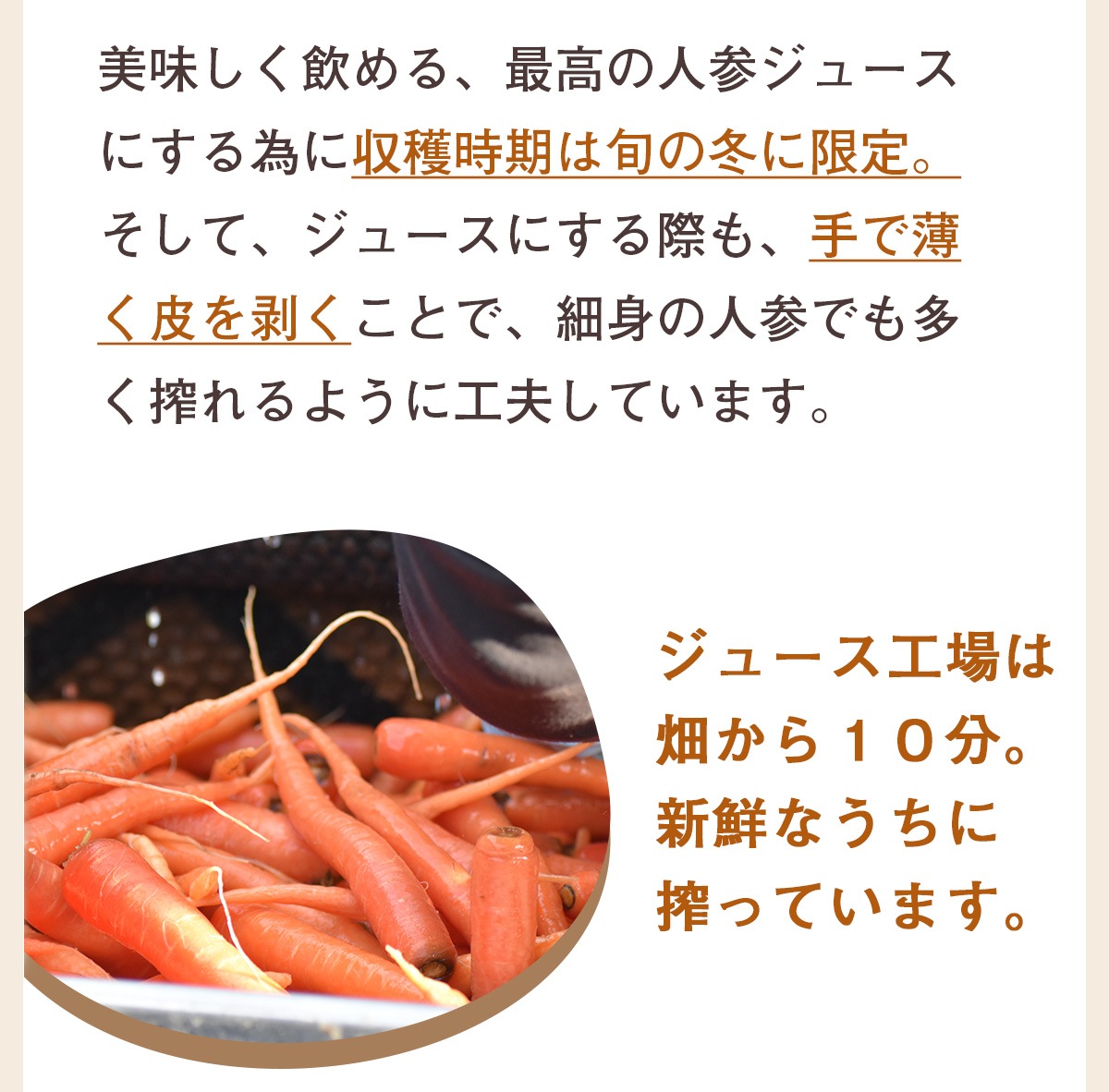 ���� �Ȥ��٤Ĥʿ�����ʤ��ͻ����塼����100ml��15�ѥå���1Ȣ