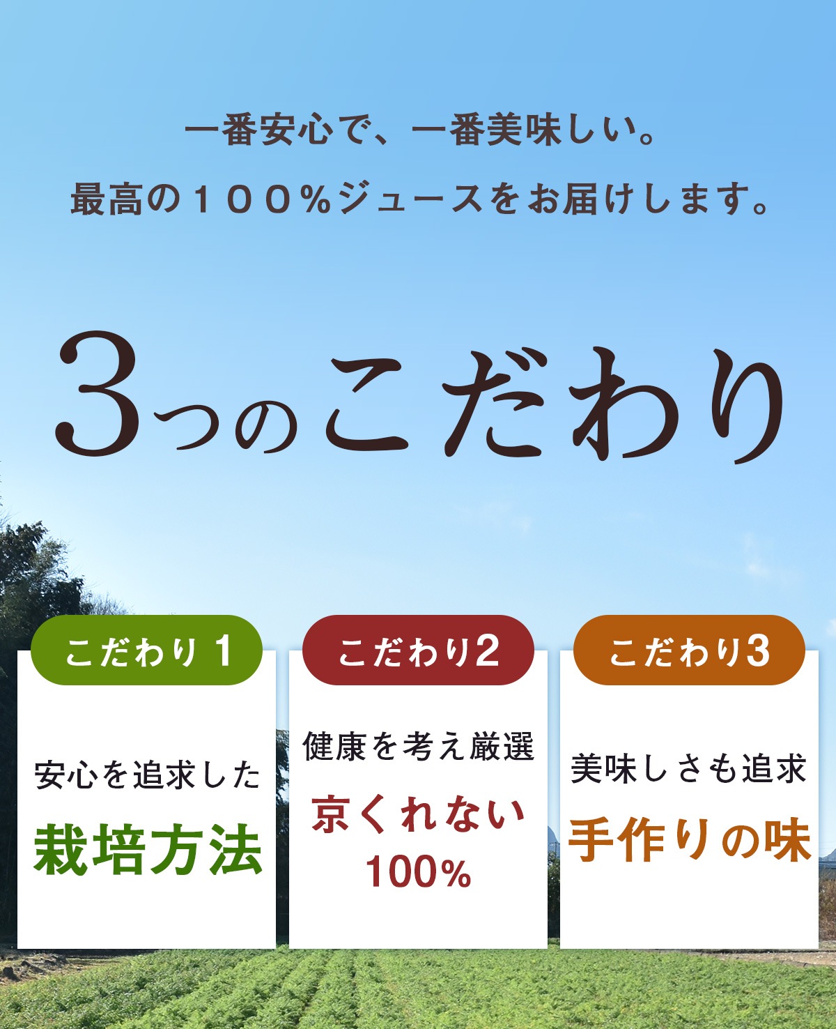 ���� �Ȥ��٤Ĥʿ�����ʤ��ͻ����塼����100ml��15�ѥå���1Ȣ