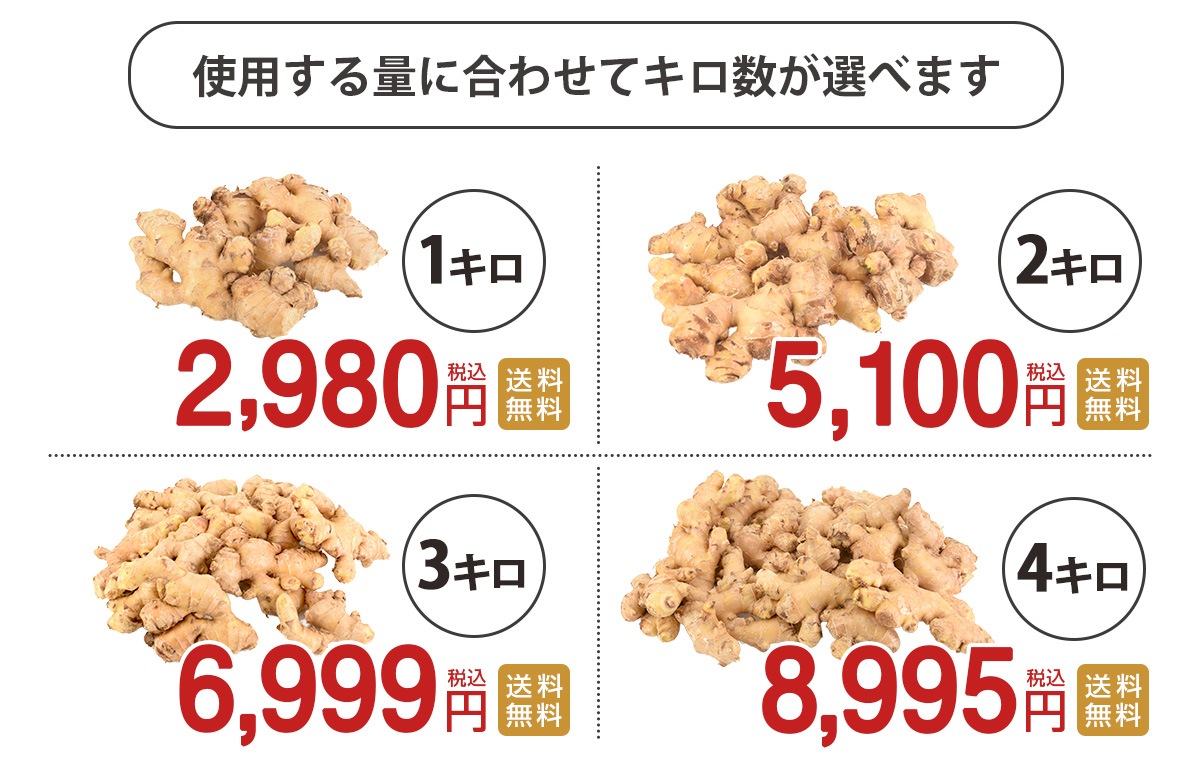 Ĺ�긩�� ̵���� ��ժ (����ժ) 1kg / 2kg / 3kg / 4kg �ڤ��礦���ۡڥ��祦����