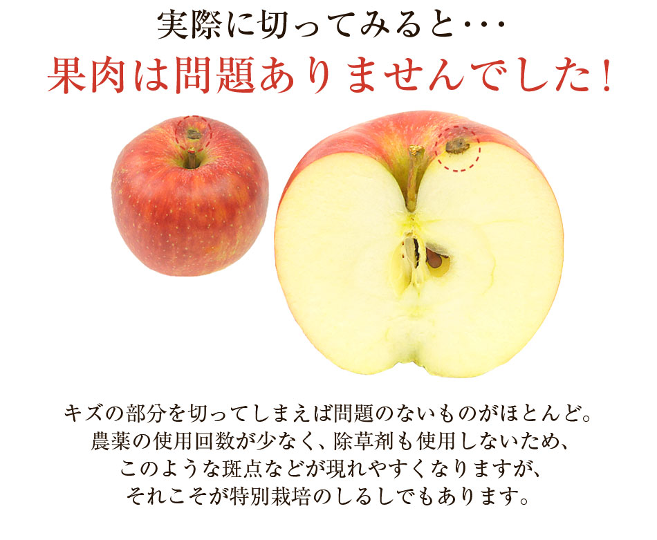 Ĺ   ̺ʪۡڹ񻺡ۡ