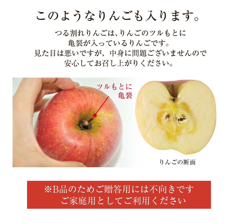 Ĺ   ̺ʪۡڹ񻺡ۡ