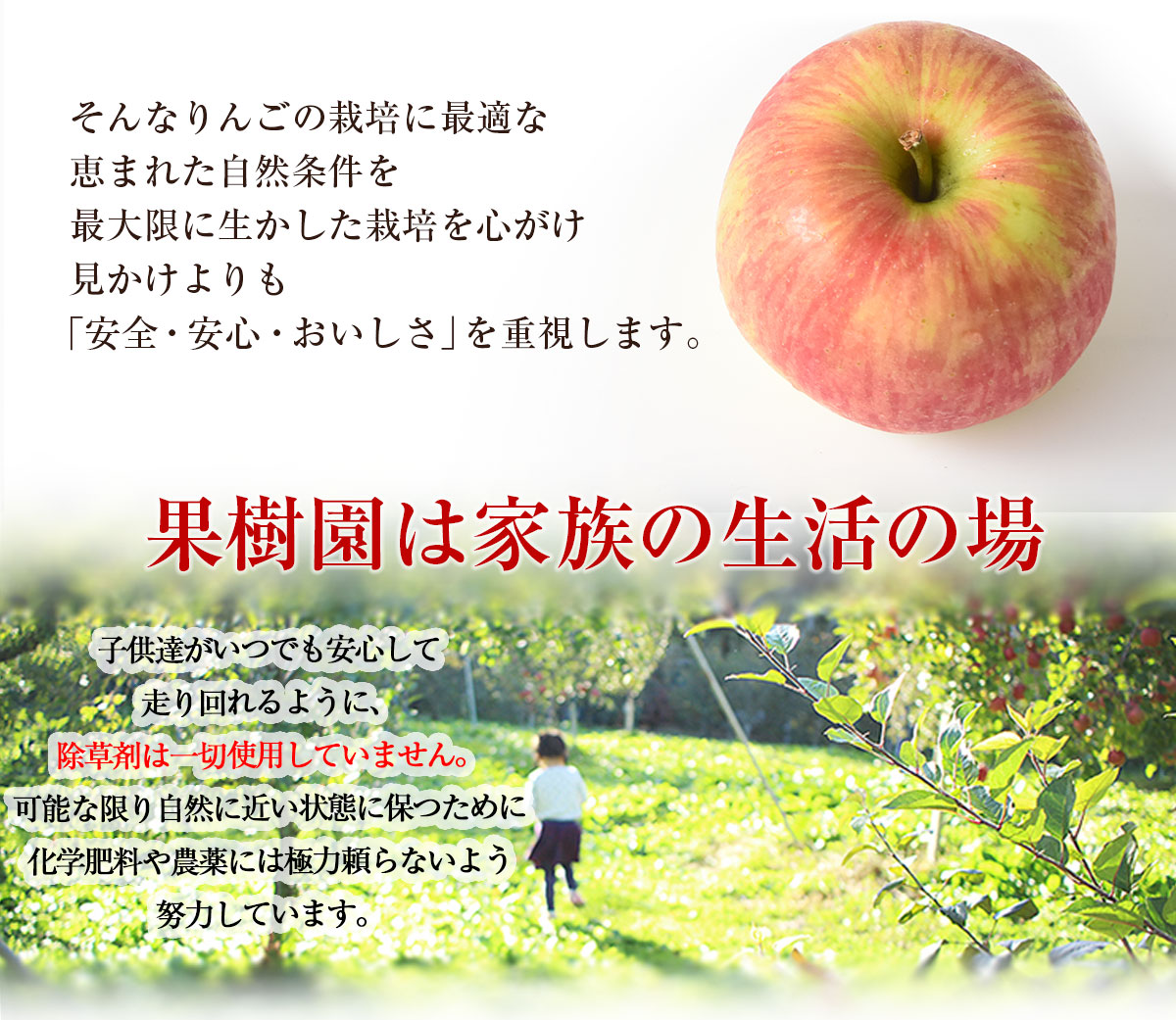 Ĺ   ̺ʪۡڹ񻺡ۡ