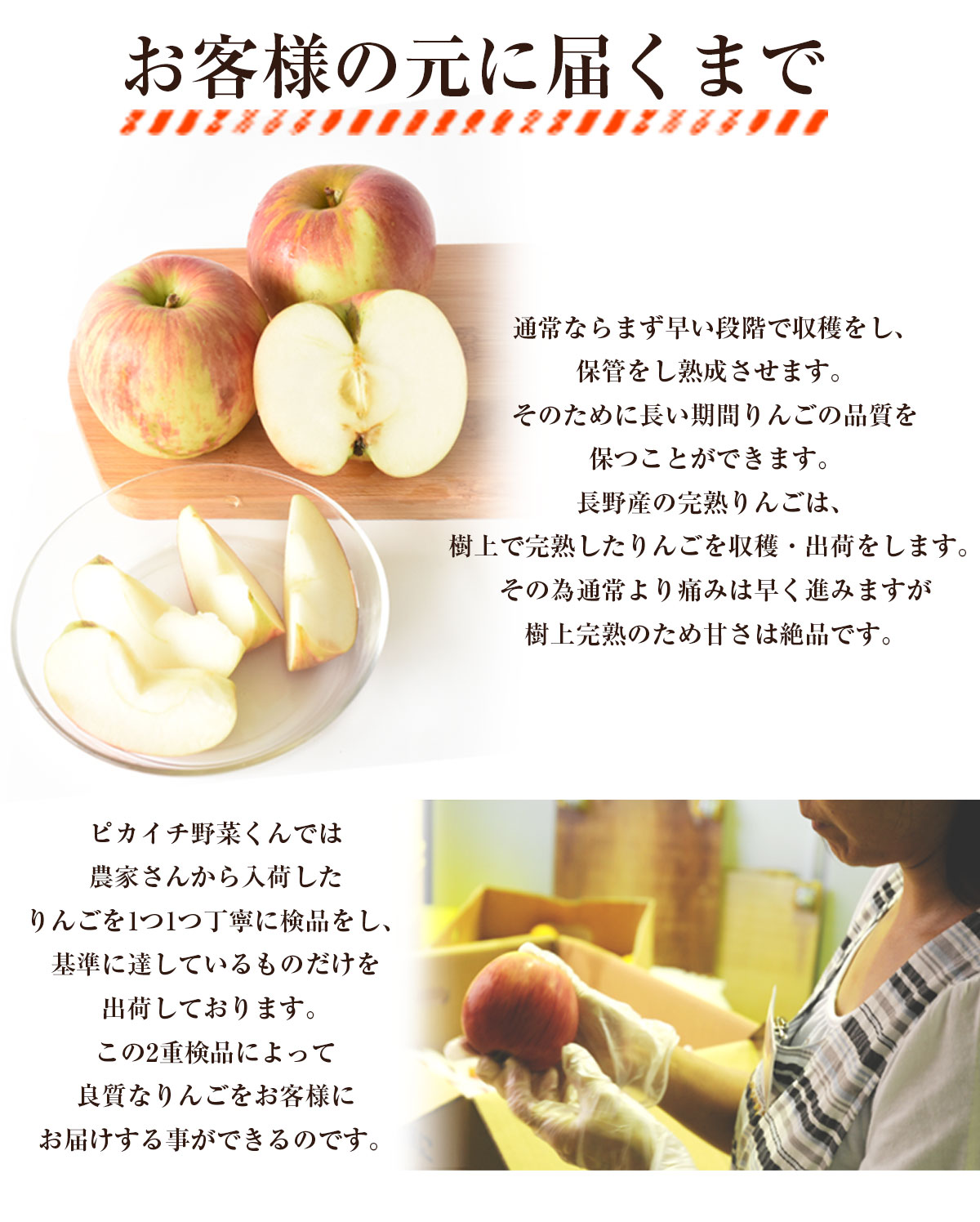 Ĺ   ̺ʪۡڹ񻺡ۡ