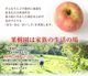 Ĺ��� ��� ����� �����̺�������ʪ�ۡڹ񻺡ۡ��������