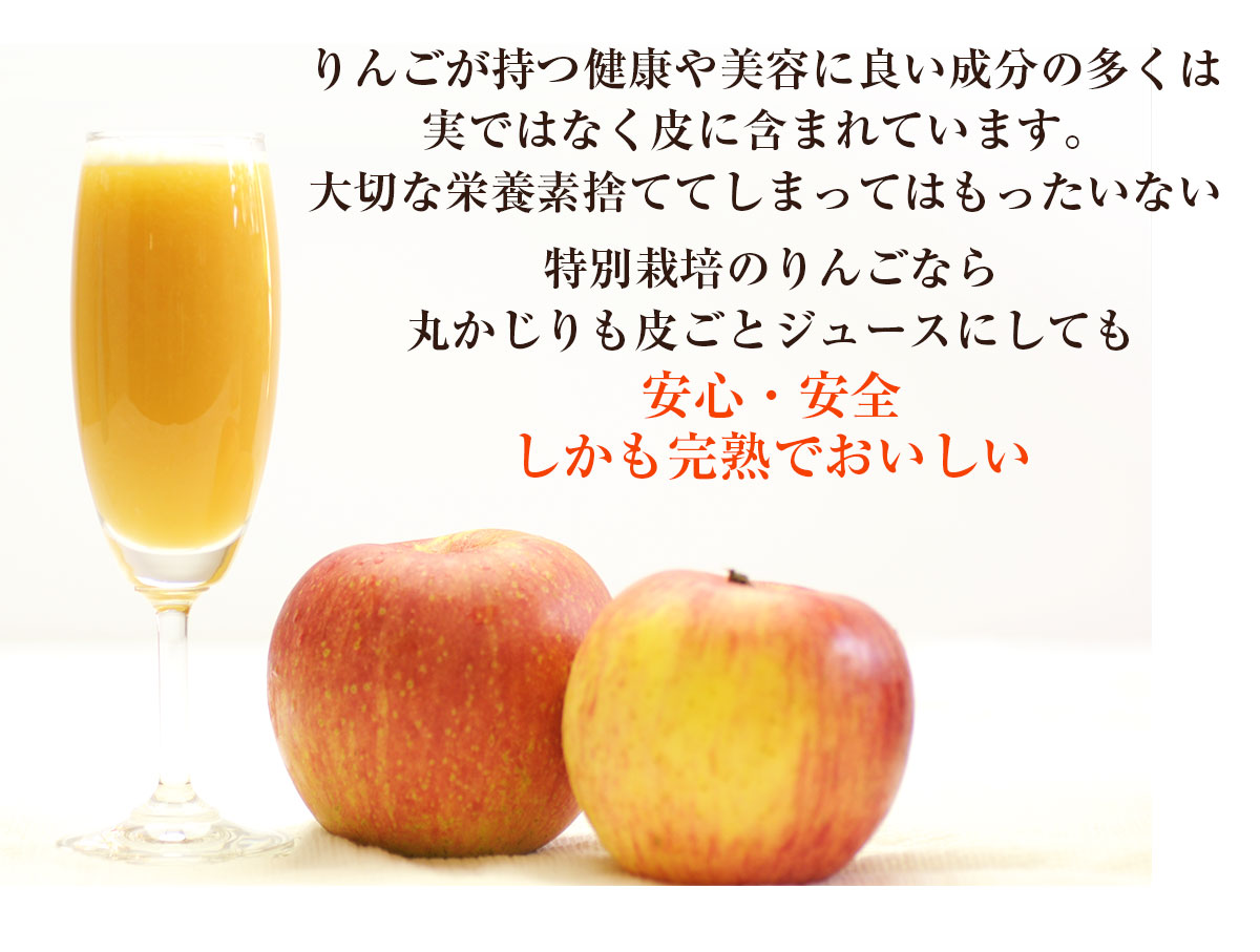 Ĺ   ̺ʪۡڹ񻺡ۡ