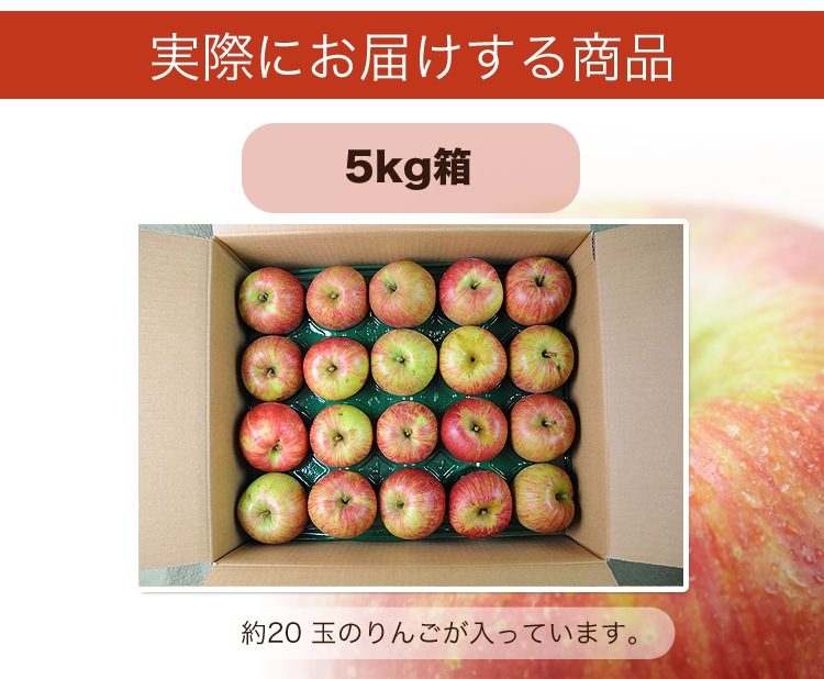 Ĺ   ̺ʪۡڹ񻺡ۡ