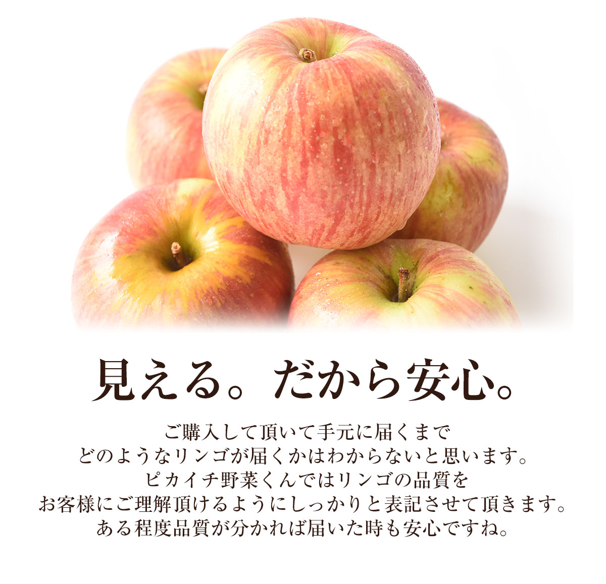 Ĺ   ̺ʪۡڹ񻺡ۡ