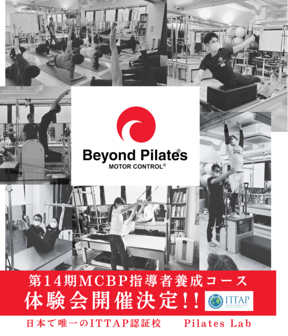 ���θ������14��Motor Control®: Beyond Pilates®��Ƴ������������������ȥ����������������å�