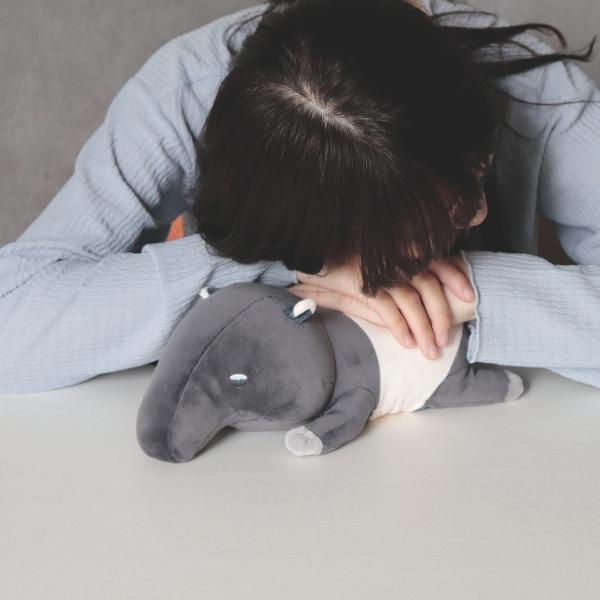 Hug me'Zoo HOT&COOLԥå