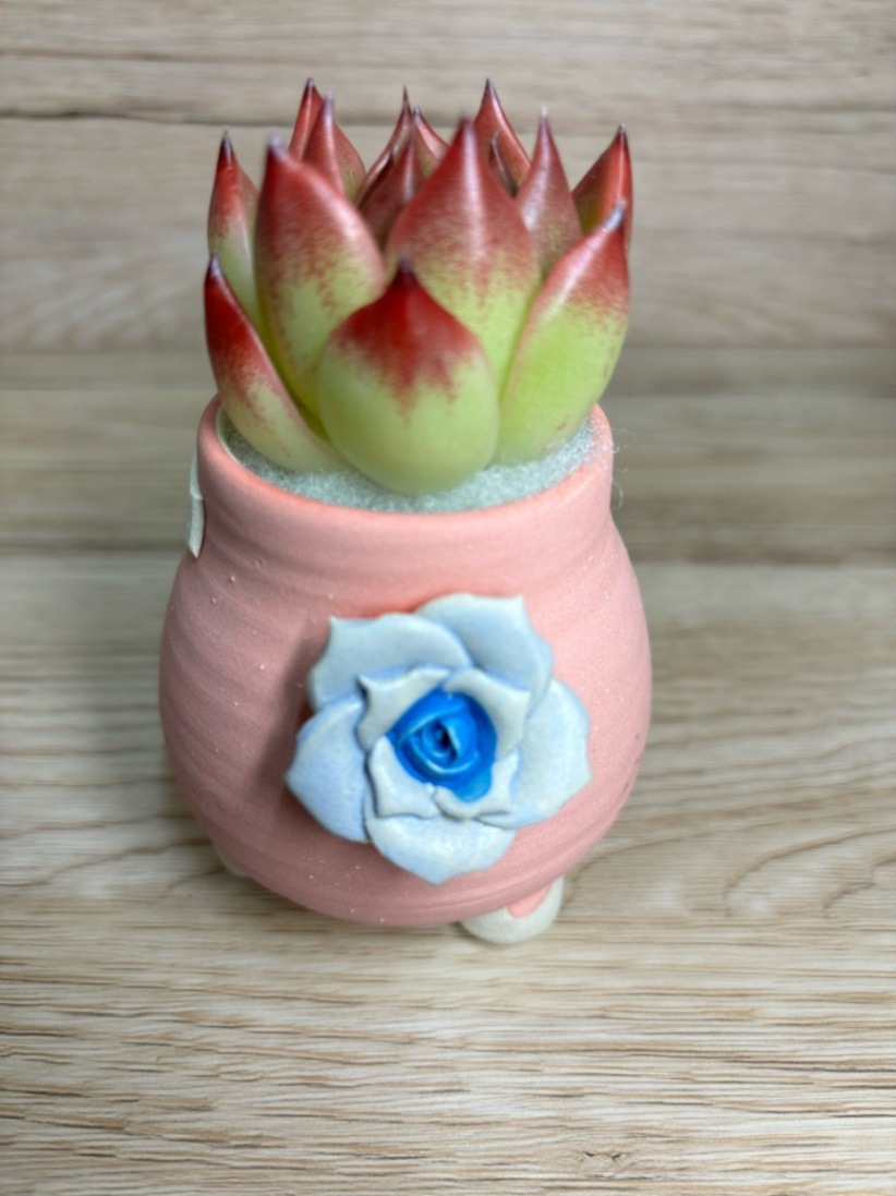 韓国鉢 | 韓国鉢 | Pink LeaF