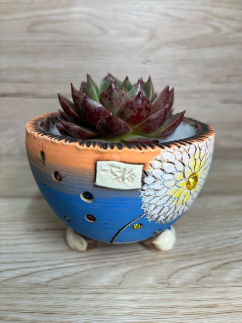 韓国鉢 | 韓国鉢 | Pink LeaF