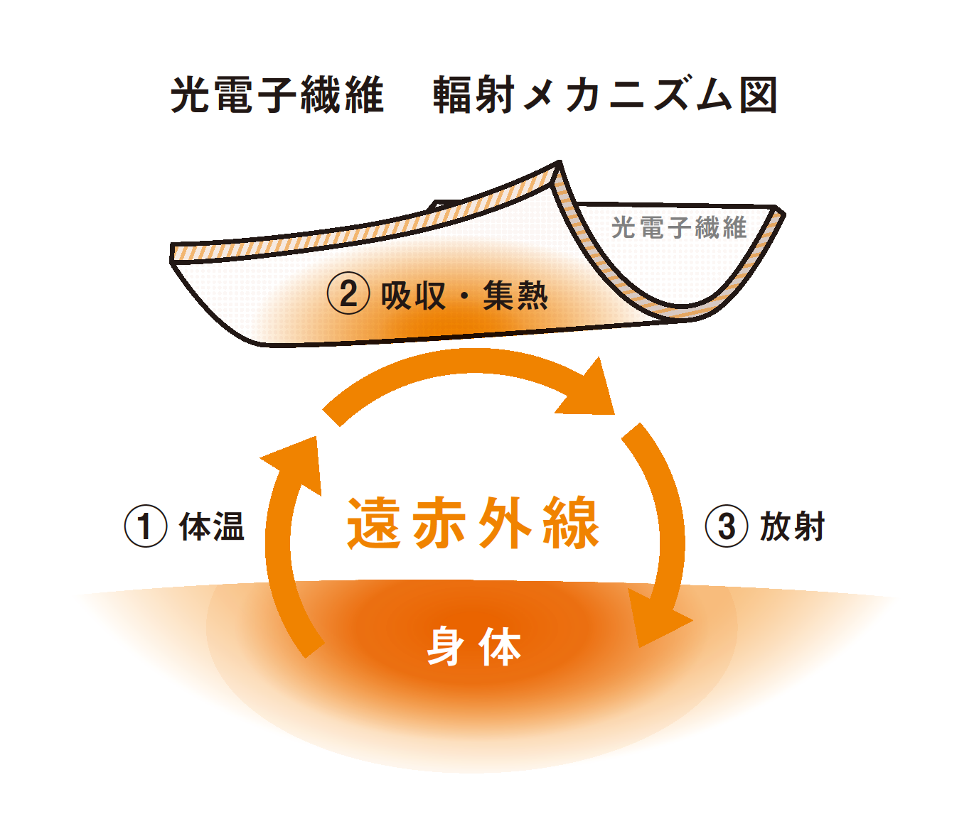 OM1911【光電子®】メンズ　＜アカショウビン柄使い＞　ボタンダウン　長袖