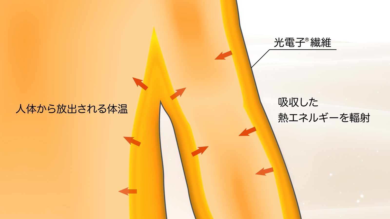 OM1911【光電子®】メンズ　＜アカショウビン柄使い＞　ボタンダウン　長袖