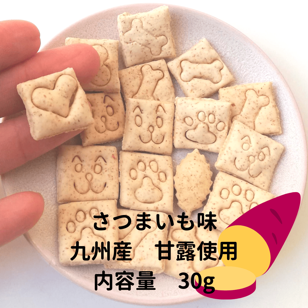 �������Τ����Cookie 30g�ʥѥ�ץ���̣�����Ĥޤ���̣��������̣�� by ���β�