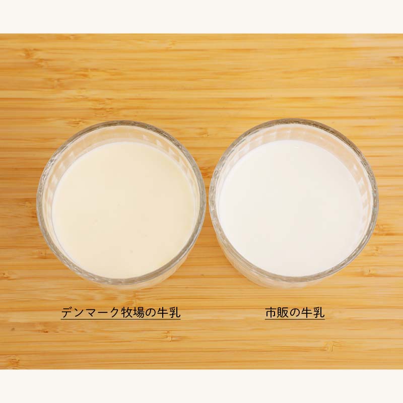 ǥޡҾ졡2ܥåȡbyǥޡҾ