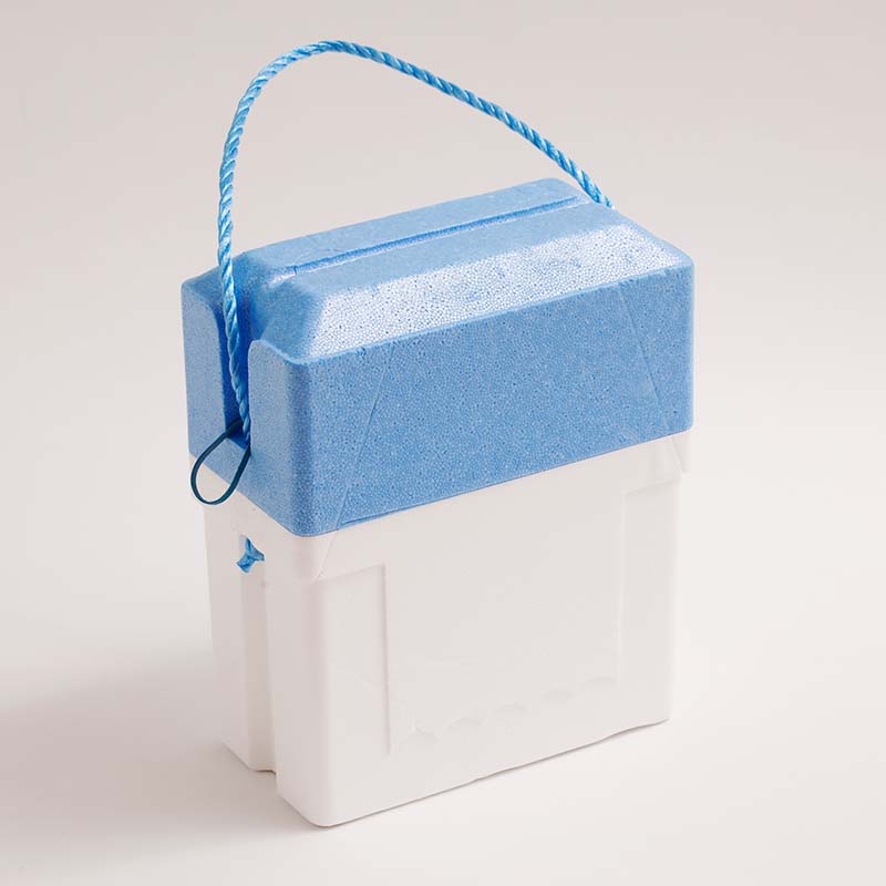 �ǥ�ޡ����Ҿ�ʡ��񡡵���1�ܡ��衼�����2�ܥ��åȡ�by���ǥ�ޡ����Ҿ�ʡ���