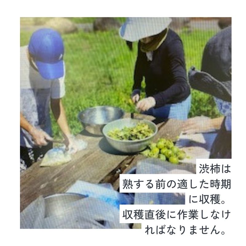 幟旗(のぼりばた）柿渋染めバッグ by collect 34 |「障がい者福祉」を