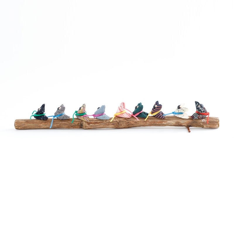 �����򱿤ֱ����ŷ������by���ˤ��ˤ��ե����ȥ꡼��