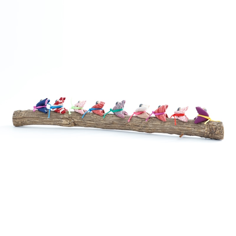 �����򱿤ֱ����ŷ������by���ˤ��ˤ��ե����ȥ꡼��