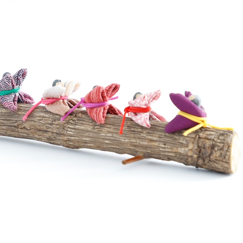 �����򱿤ֱ����ŷ������by���ˤ��ˤ��ե����ȥ꡼��