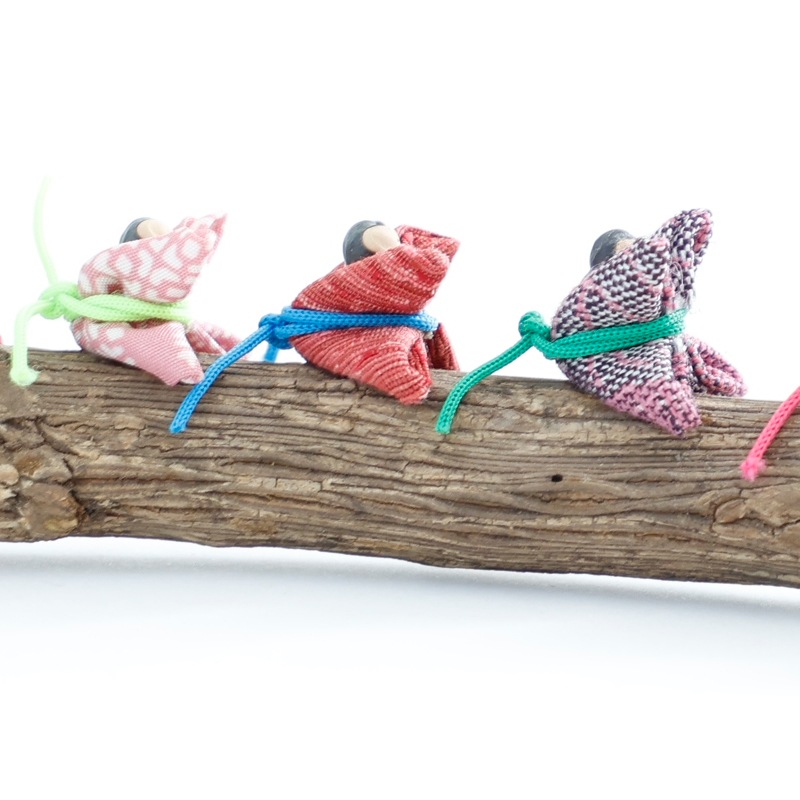 �����򱿤ֱ����ŷ������by���ˤ��ˤ��ե����ȥ꡼��