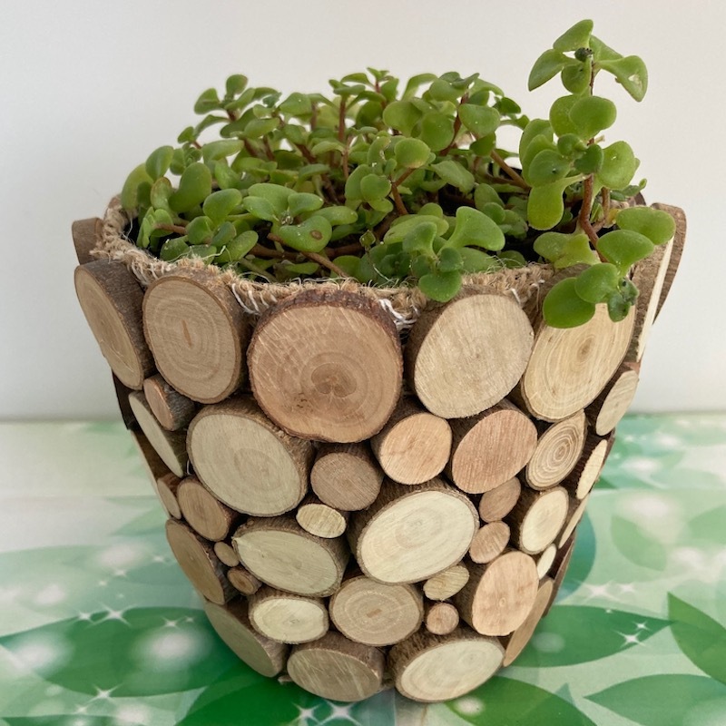 ȭ���С����ʥ����ȥѥ��ˡ�by�������ǥ󥯥�ե� "������"