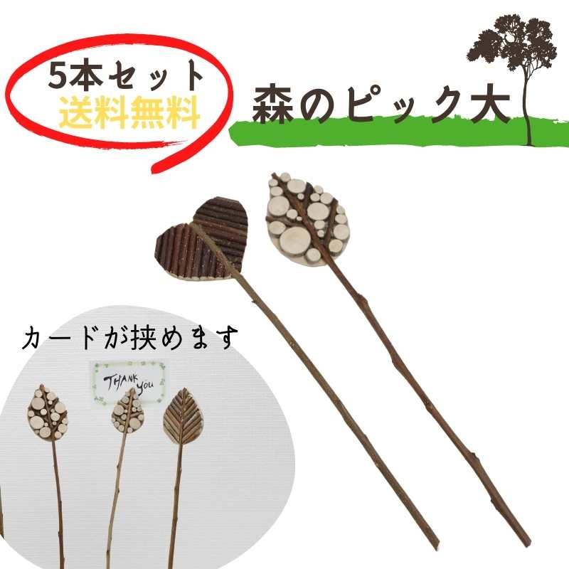 ���Υԥå����硡5�ܥ��åȡ���by�������ǥ󥯥�ե� "������"