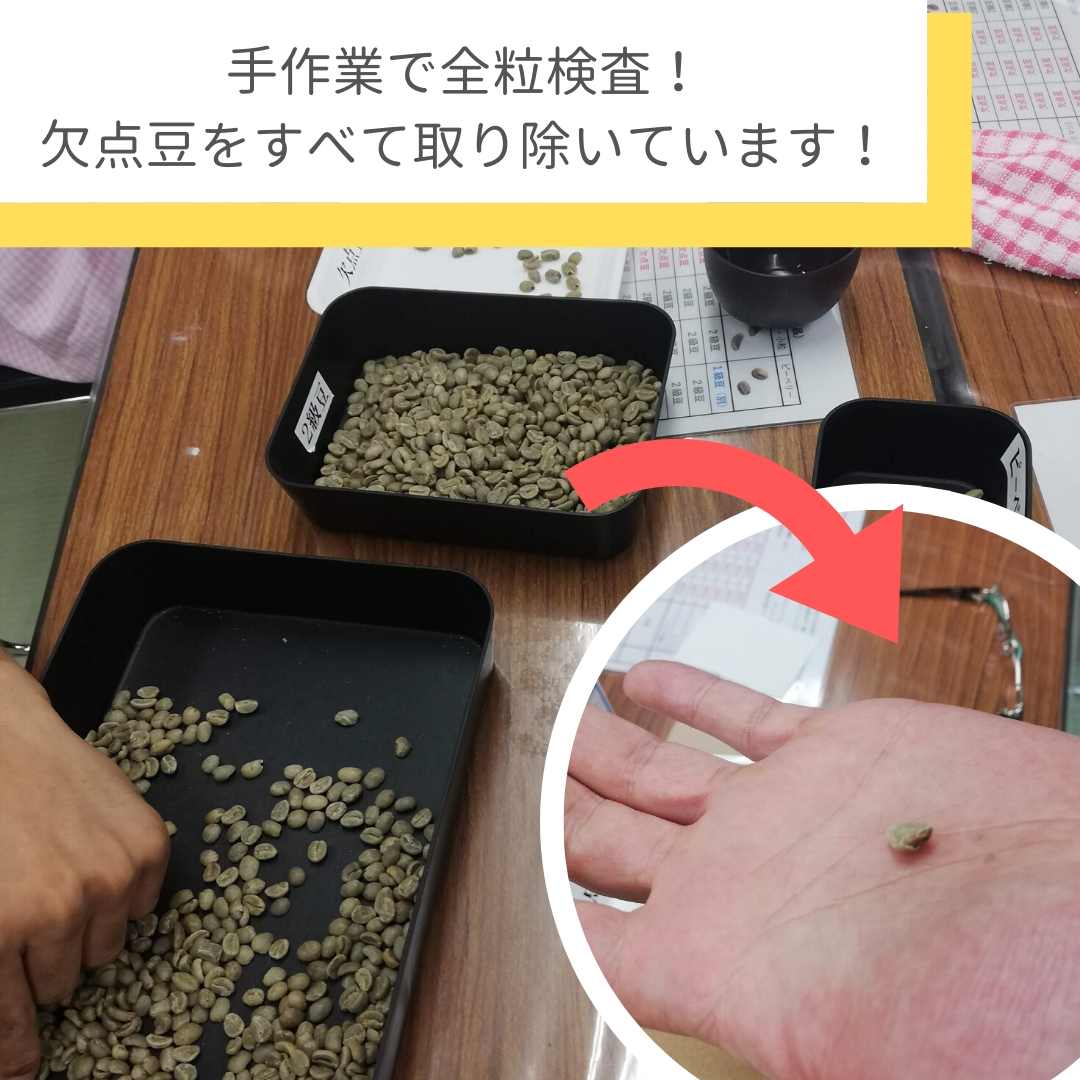 ɥåץХåҡåȡʣˡby ̴