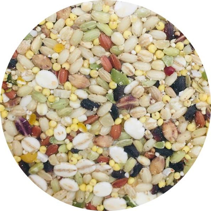 Ϥηäߡ͵͹礻 by ˡ󥿡ץ饤