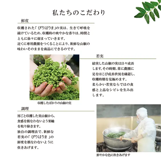 若摘み実山椒（瓶）