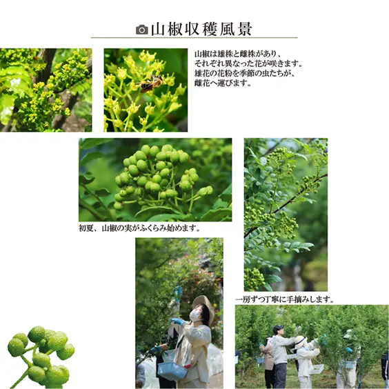 山椒牛肉しぐれ（瓶）