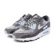 ˡ ʥ NIKE ޥå90 졼  DM0029-009  ǥ 塼  24