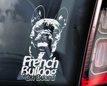 �ե����֥롡Car Window Sticker2 ��PMS00107��