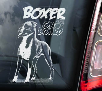 �ܥ�������Car Window Sticker ��PMS00111��