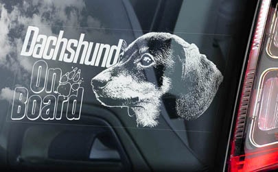 ���å�����Car Window Sticker ��PMS00113��