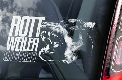 ���åȥ磻�顼��Car Window Sticker2 ��PMS00114��