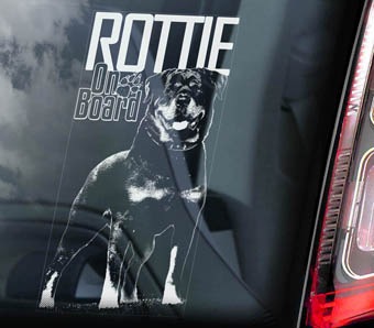 åȥ磻顼 Car Window Sticker2 PMS00119