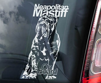 �ޥ����� Car Window Sticker3 ��PMS00121��