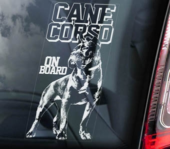 ���ͥ��륽 Car Window Sticker ��PMS00122��