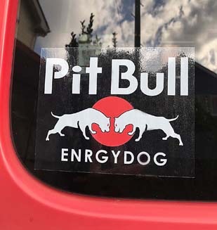 Pitbull enrgydog Sticker ホワイト【PMS00126】 | ステッカー