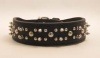 2inch Spike Hard Collar����PMC00015��